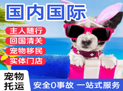 通化机场快运国际宠物托运 【国